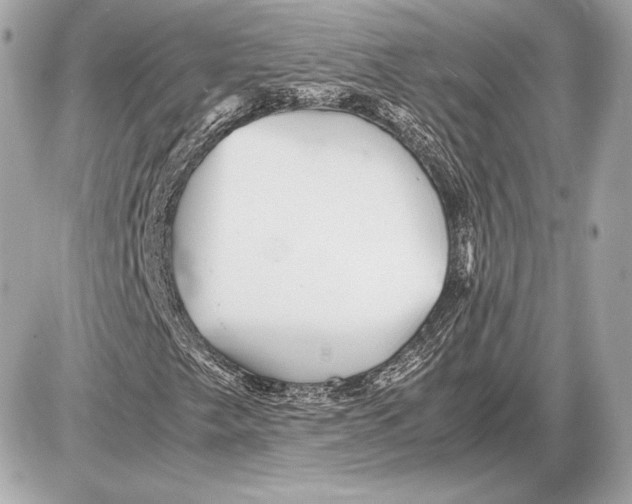 X0000085831249200704091649