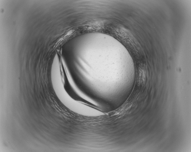 X0000085831250200704091649