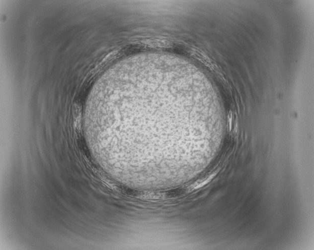 X0000085831251200704091649