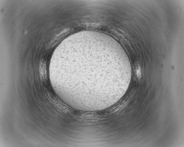 X0000085831252200704091649