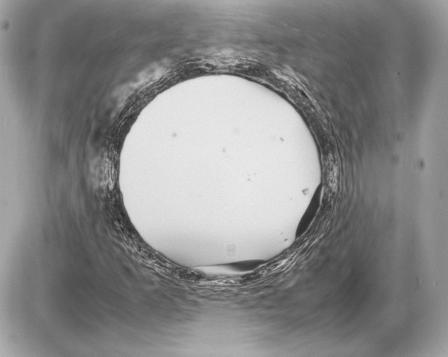 X0000085831253200704091649