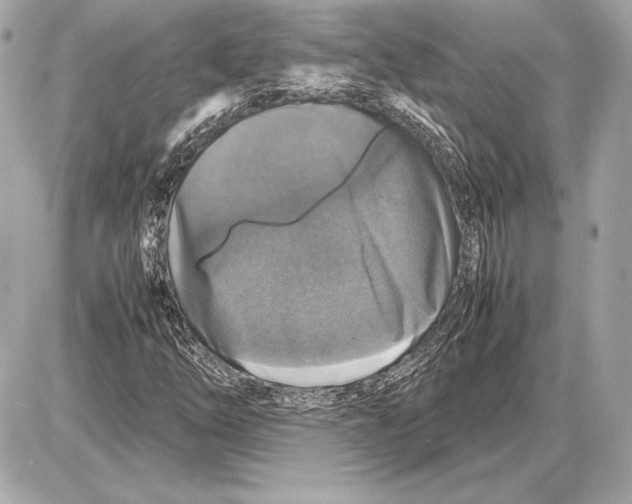 X0000085831254200704091649