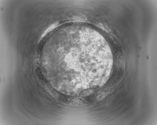 X0000085831255200704091649