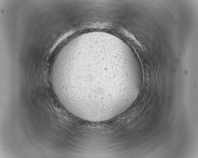 X0000085831256200704091649