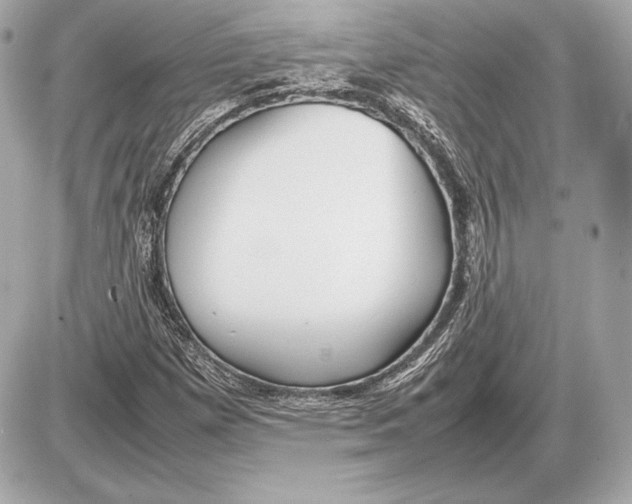 X0000085831257200704091649