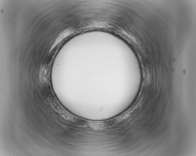 X0000085831258200704091649