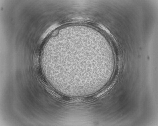 X0000085831259200704091649