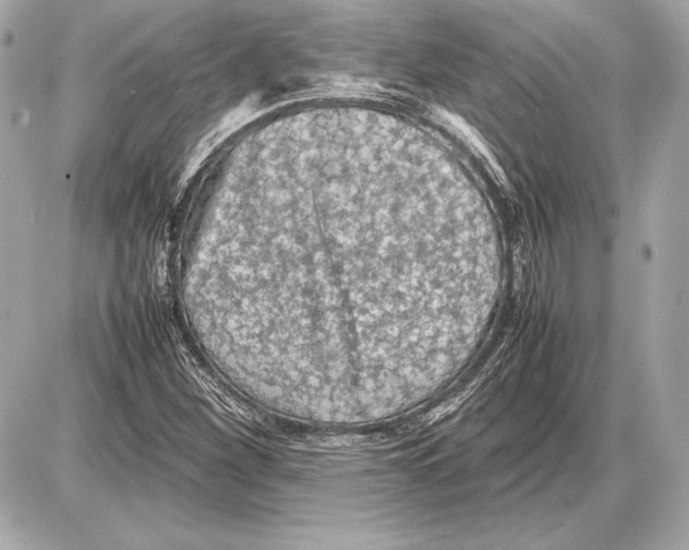 X0000085831260200704091649