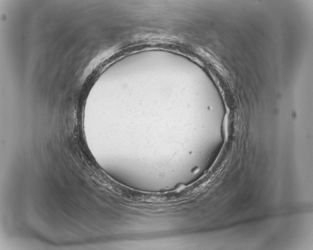 X0000085831261200704091649