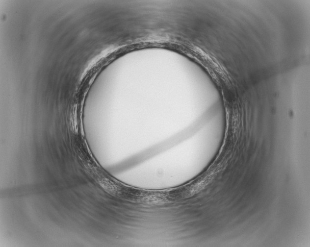 X0000085831262200704091649