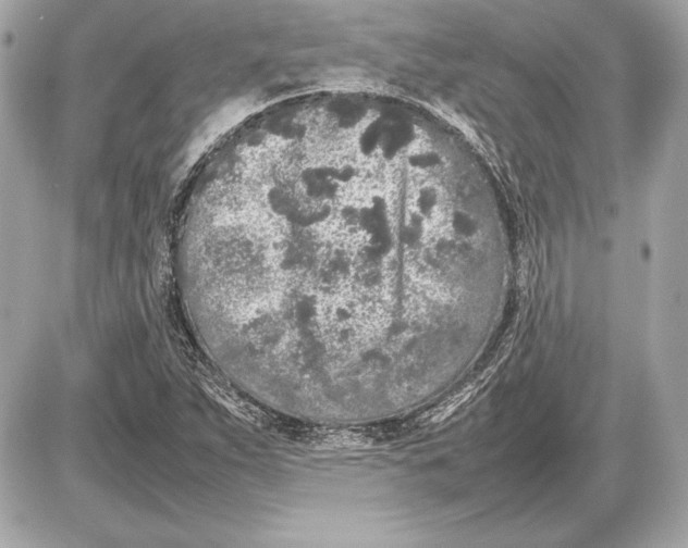 X0000085831263200704091649