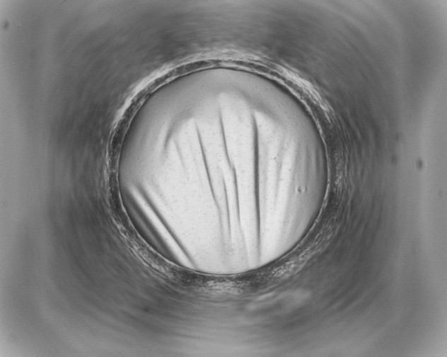 X0000085831264200704091649