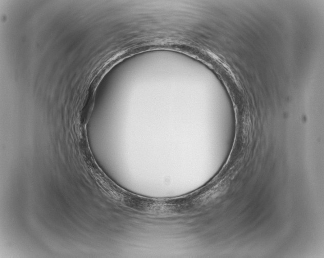 X0000085831265200704091649