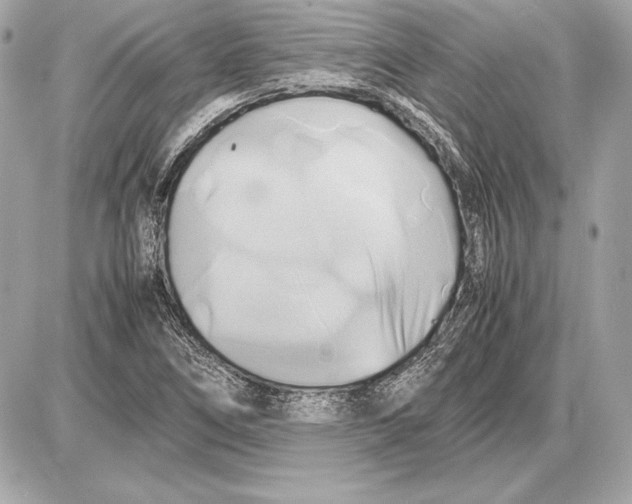 X0000085831266200704091649