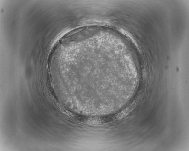 X0000085831267200704091649