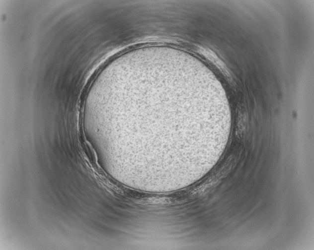 X0000085831268200704091649