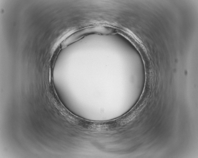 X0000085831269200704091649