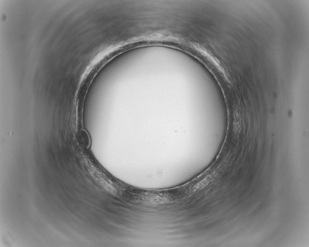 X0000085831270200704091649