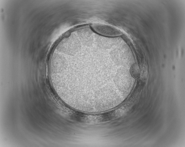 X0000085831271200704091648