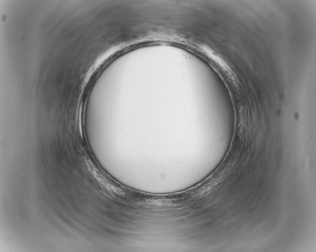 X0000085831272200704091648