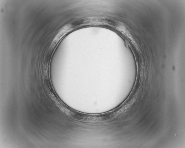 X0000085831273200704091648