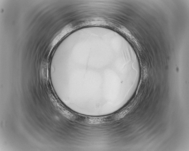 X0000085831274200704091648