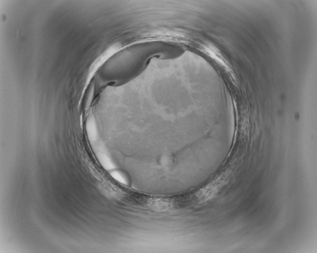 X0000085831275200704091648