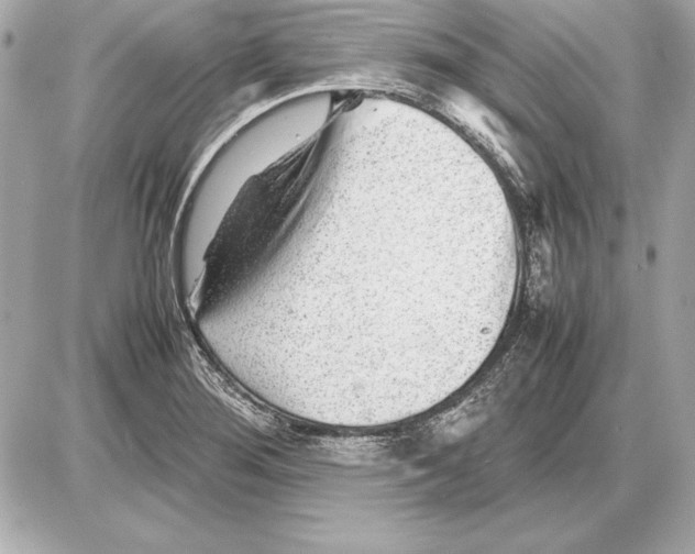 X0000085831276200704091648