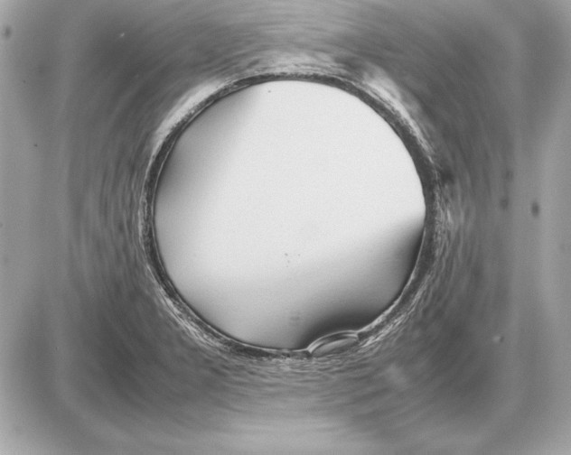 X0000085831277200704091648