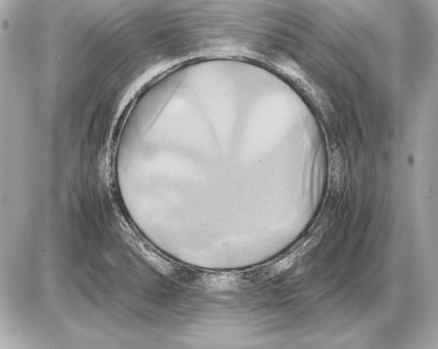 X0000085831278200704091648