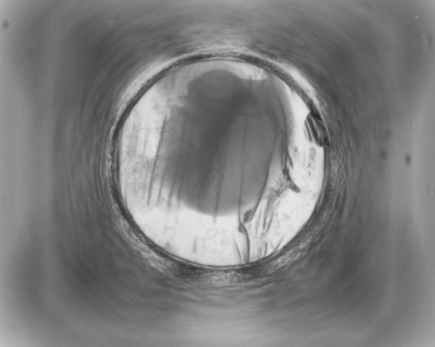 X0000085831279200704091648