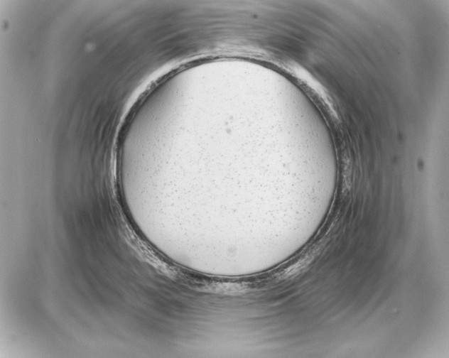 X0000085831280200704091648