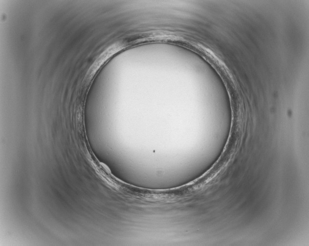 X0000085831281200704091648