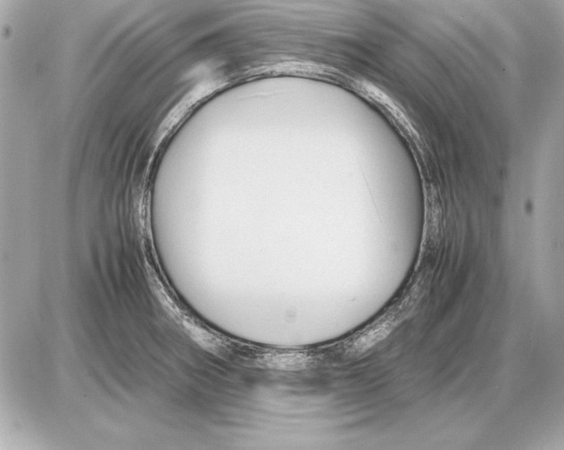 X0000085831282200704091648