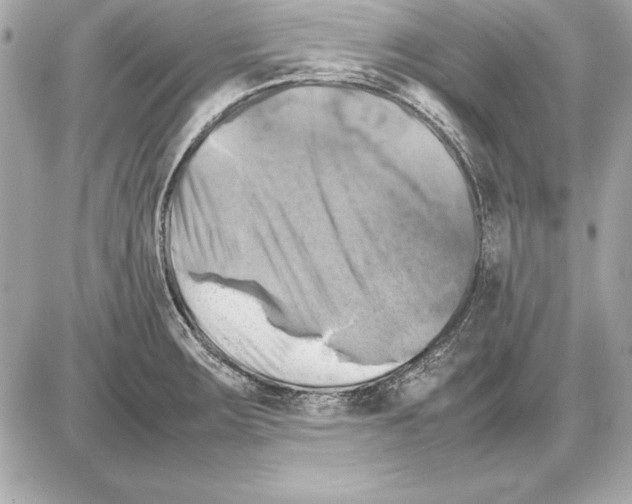 X0000085831283200704091648