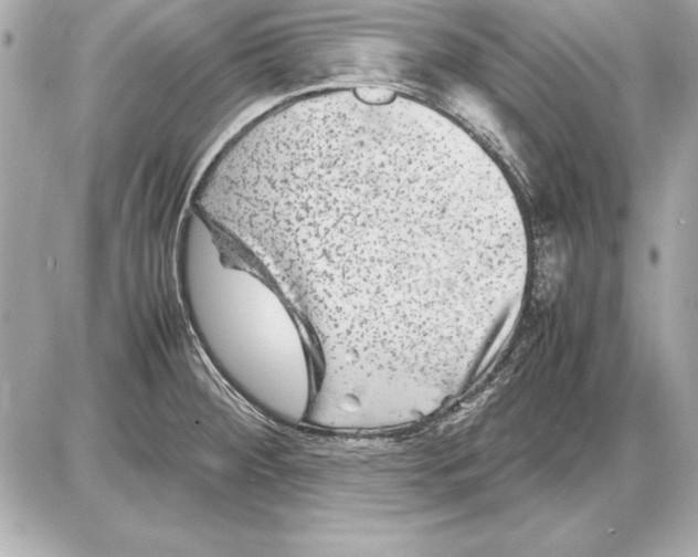 X0000085831284200704091648