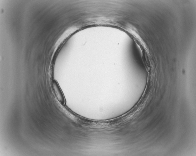 X0000085831285200704091648