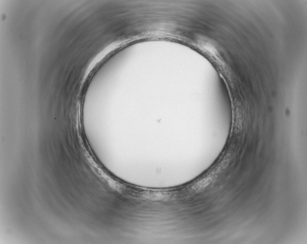 X0000085831286200704091648