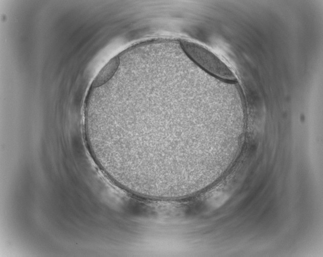 X0000085831287200704091648