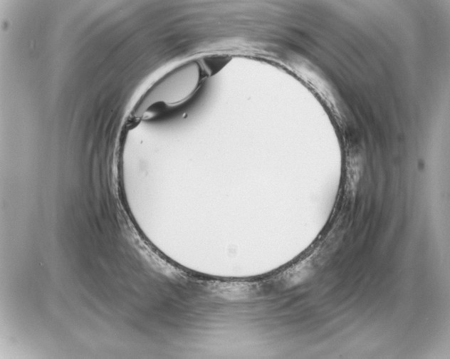 X0000085831288200704091648