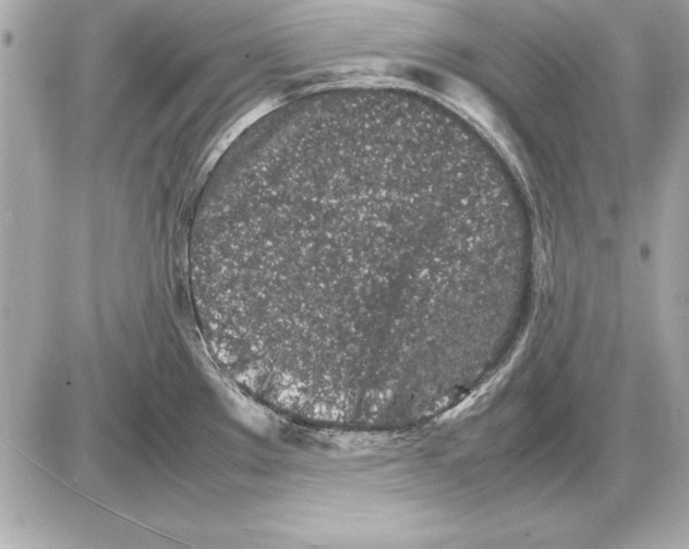 X0000085831289200704091648