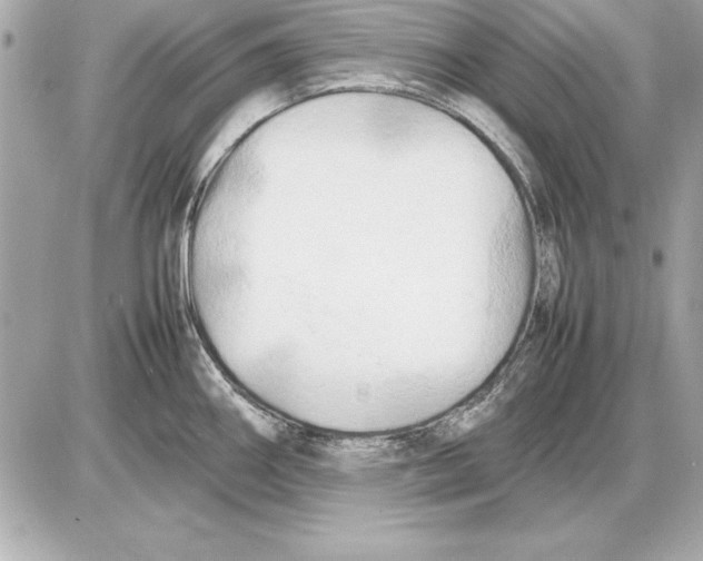 X0000085831290200704091648