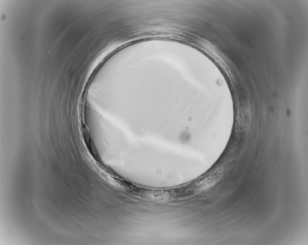 X0000085831291200704091648