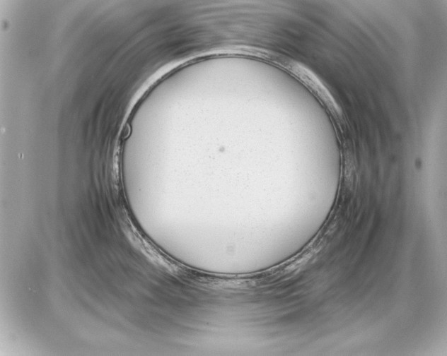 X0000085831292200704091648