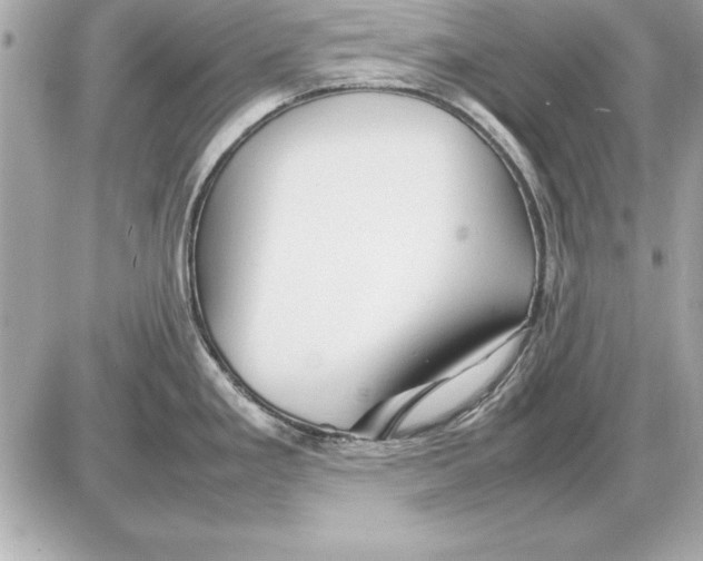 X0000085831293200704091648