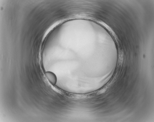 X0000085831294200704091648