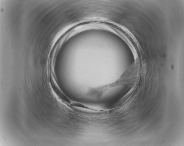 X0000085831295200704091648