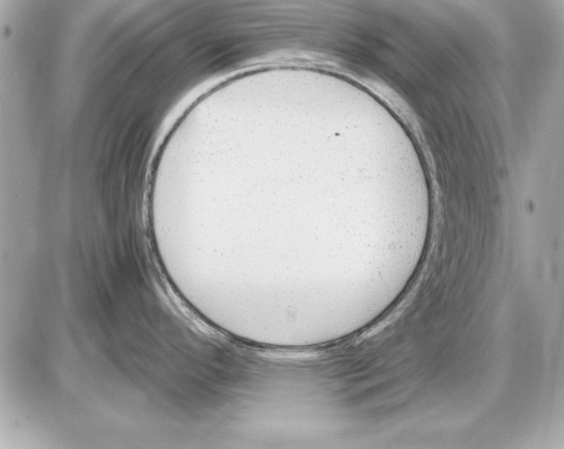 X0000085831296200704091648