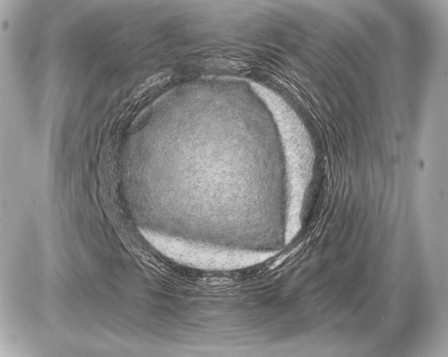 X0000085831297200704091647