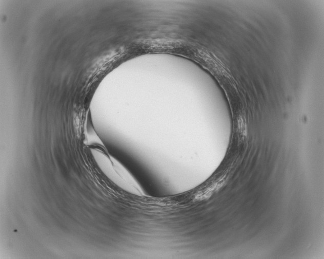 X0000085831300200704091647